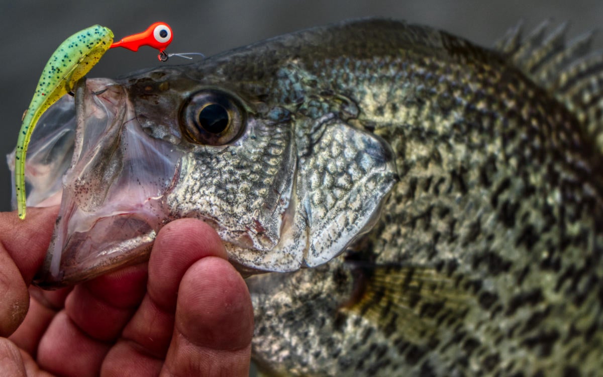 Winter Crappie Fishing Secrets with One Rod and Jig - Wired2Fish.com