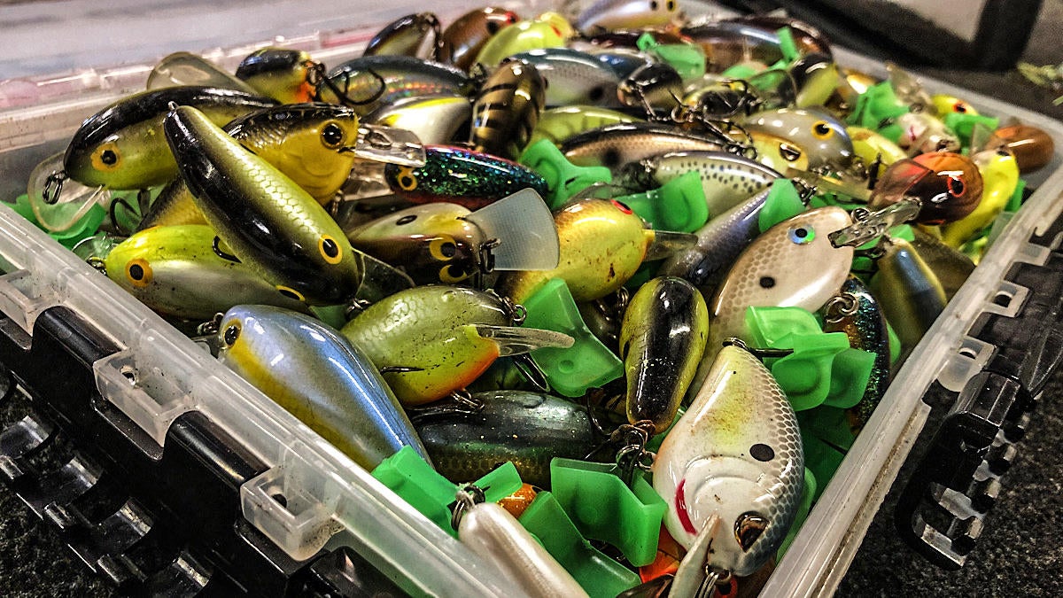 keep-it-simple-in-bass-fishing-2.jpg
