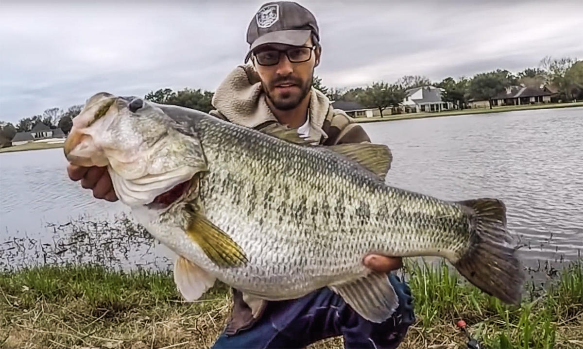 What Is The Biggest Largemouth Bass In The World