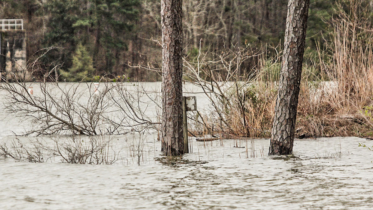 how-to-fish-flooded-water-for-bass-3.jpg