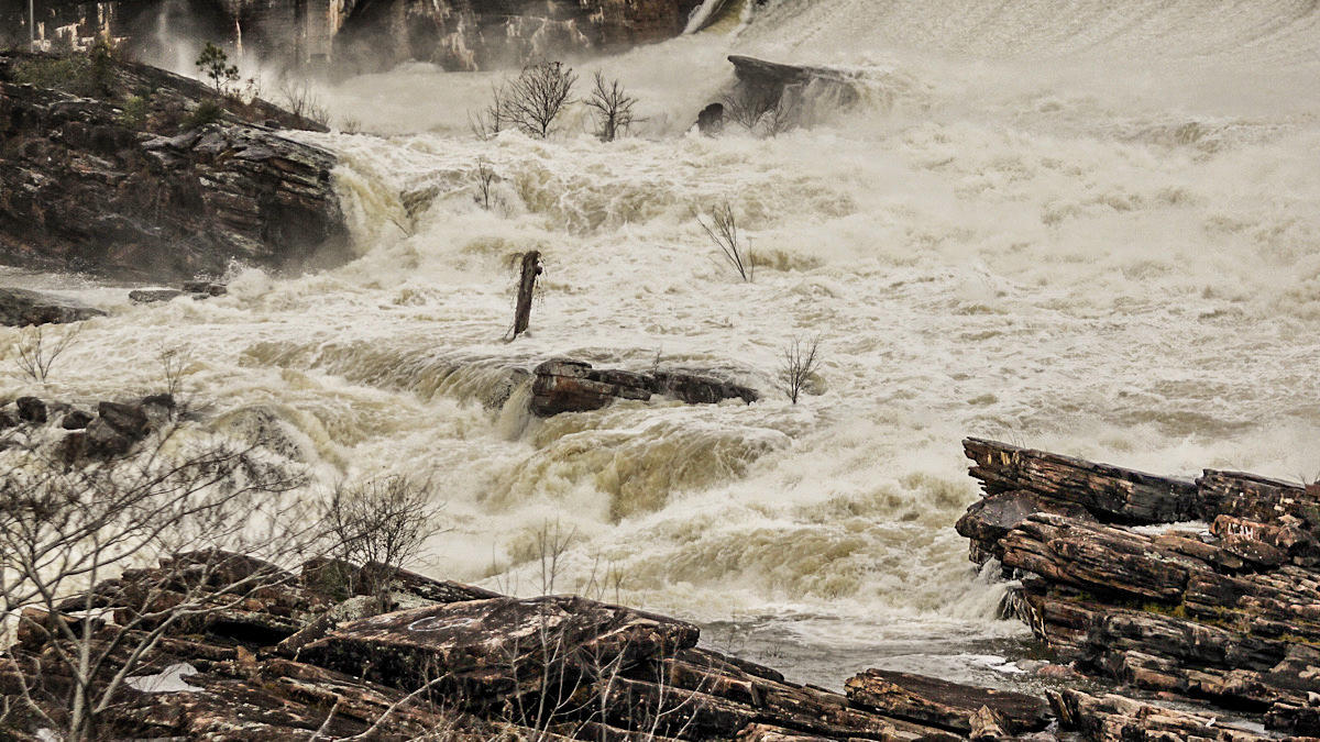 how-to-fish-flooded-water-for-bass-5.jpg