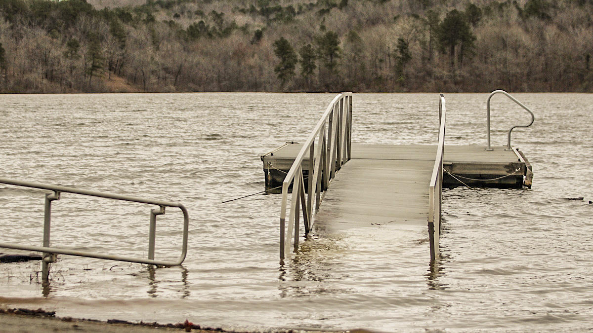 The Best Way to Fish Flooded Fisheries for Bass - Wired2Fish.com