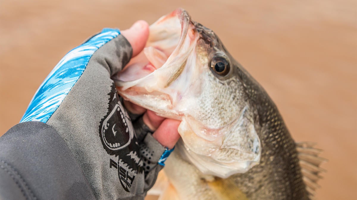 Fish Monkey Pro 365 Guide Glove Review
