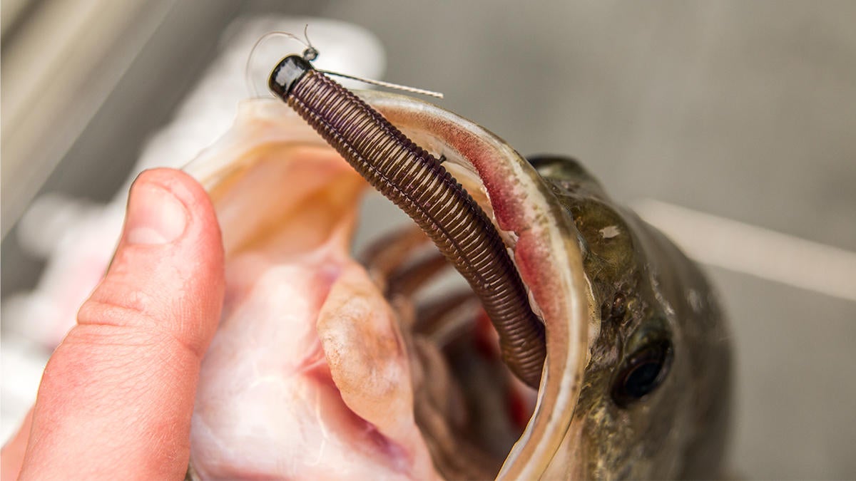 Z-Man Weedless Power Finesse ShroomZ Jighead Review - Wired2Fish.com