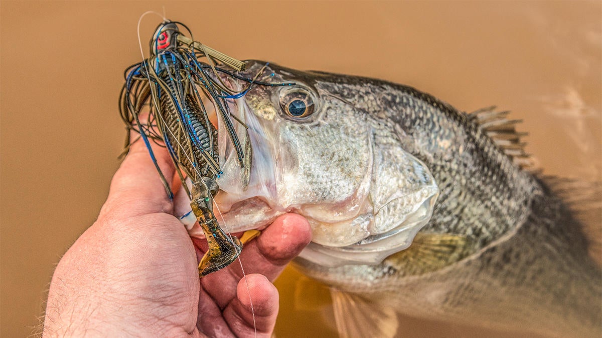 swim jig rod