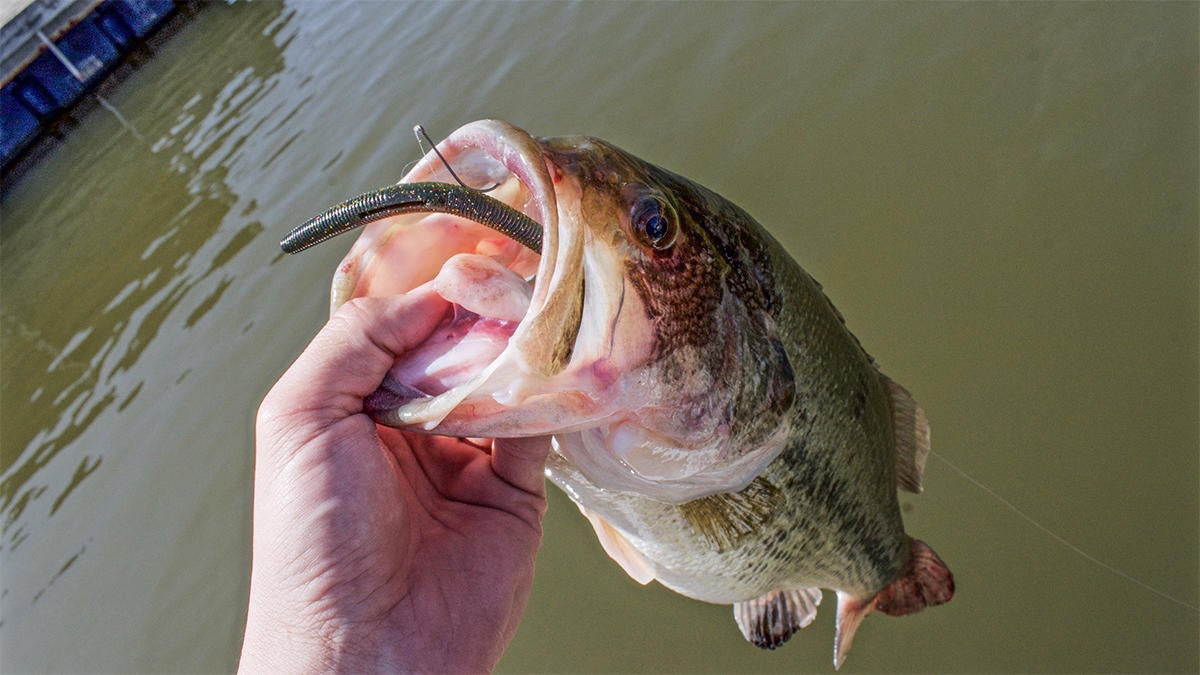 3 GoTo SoftPlastic Setups for Spring Bass