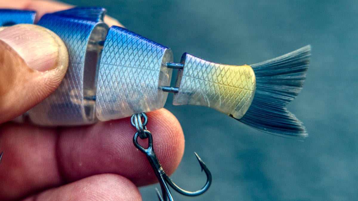 mike bucca bull shad