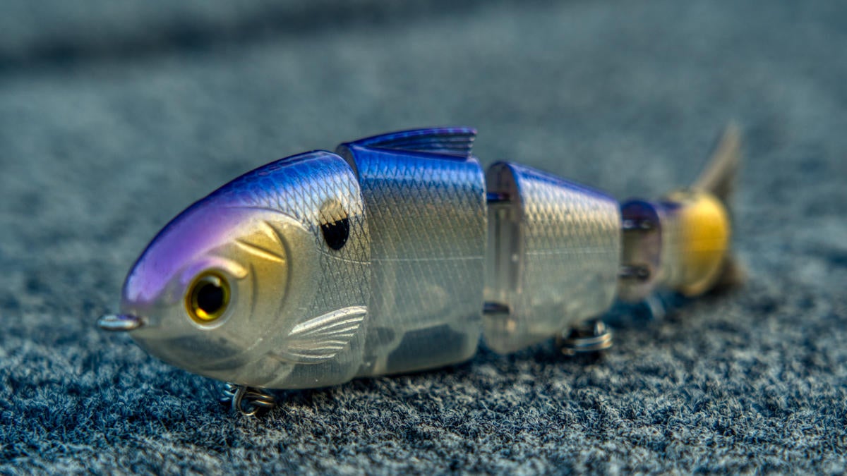 baby bull shad catch co