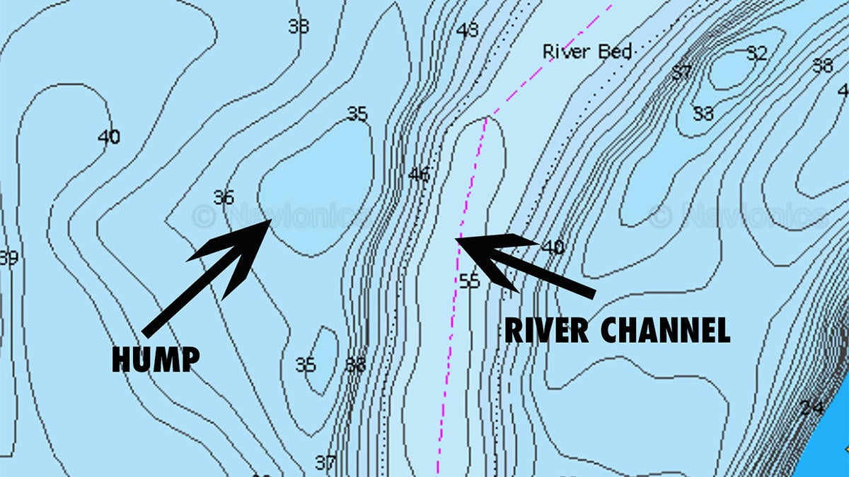 how-to-catch-striped-bass-in-the-summer-3.jpg