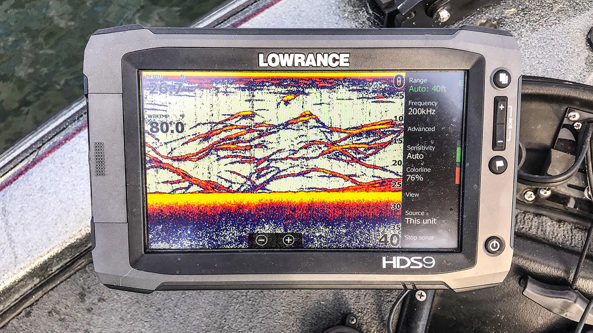 how-to-catch-striped-bass-in-the-summer-4.jpg