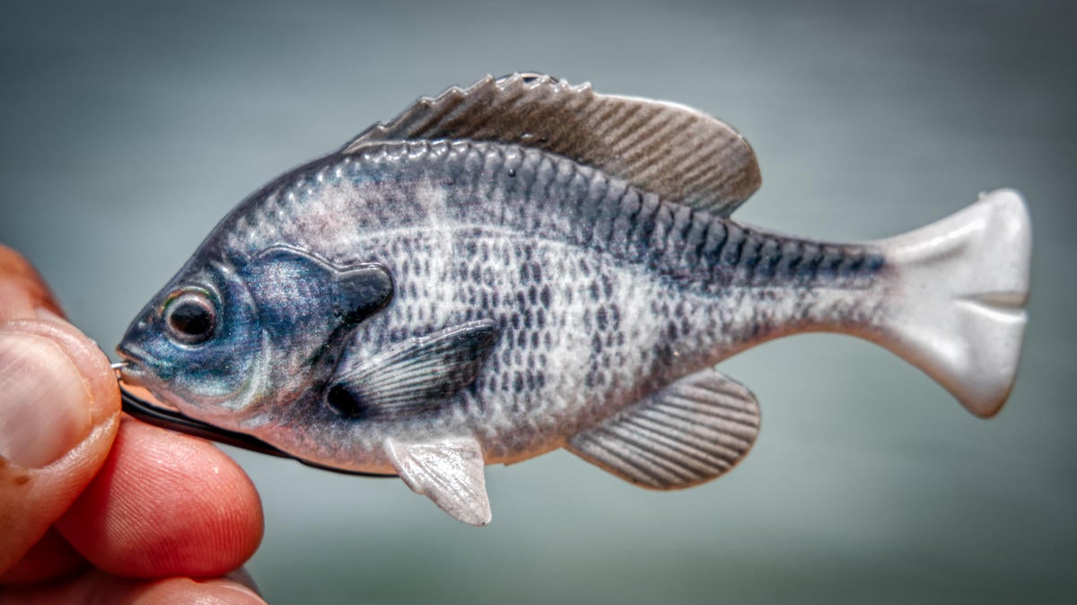 savage-gear-pulse-tail-bluegill-profile.jpg