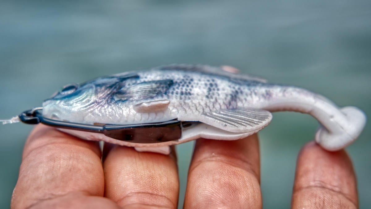 savage-gear-pulse-tail-bluegill-hook.jpg