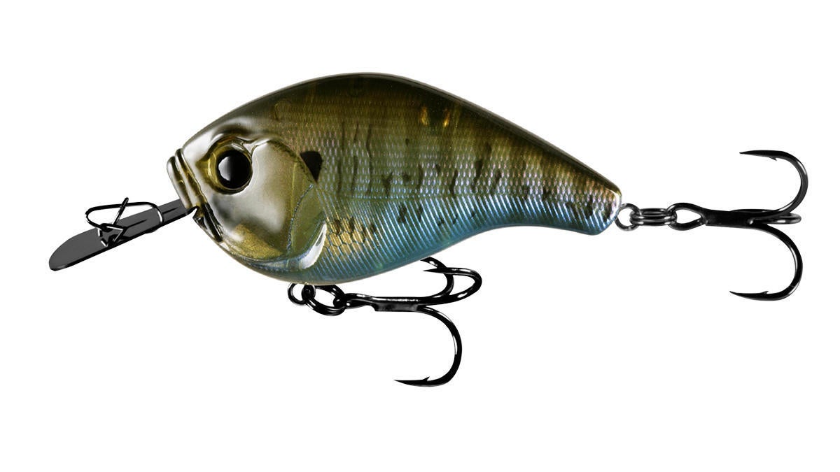13-jabber-jaw.jpg