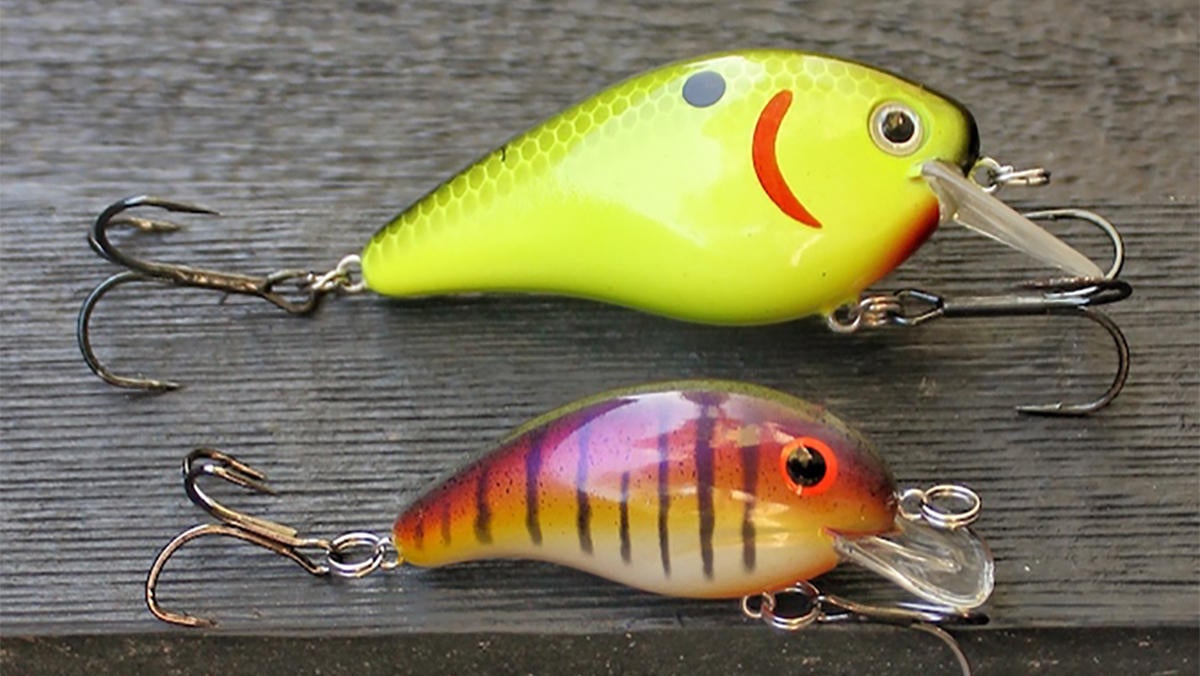downsized-power-fishing-for-bass-1.jpg