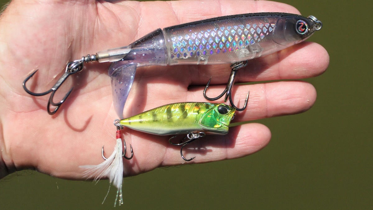 downsized-power-fishing-for-bass-5.jpg