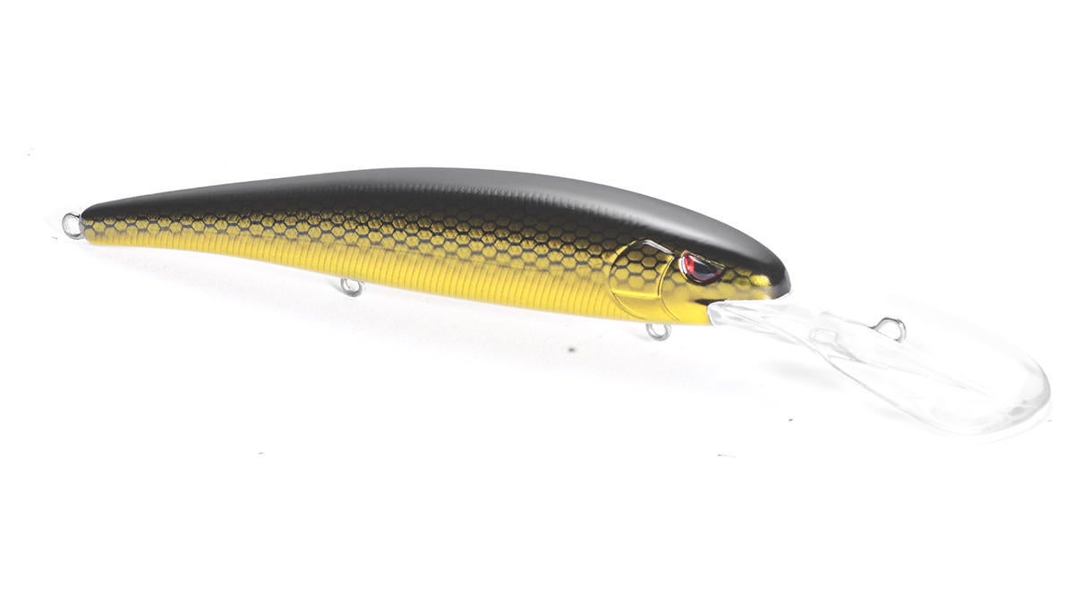 spro-minnow.jpg