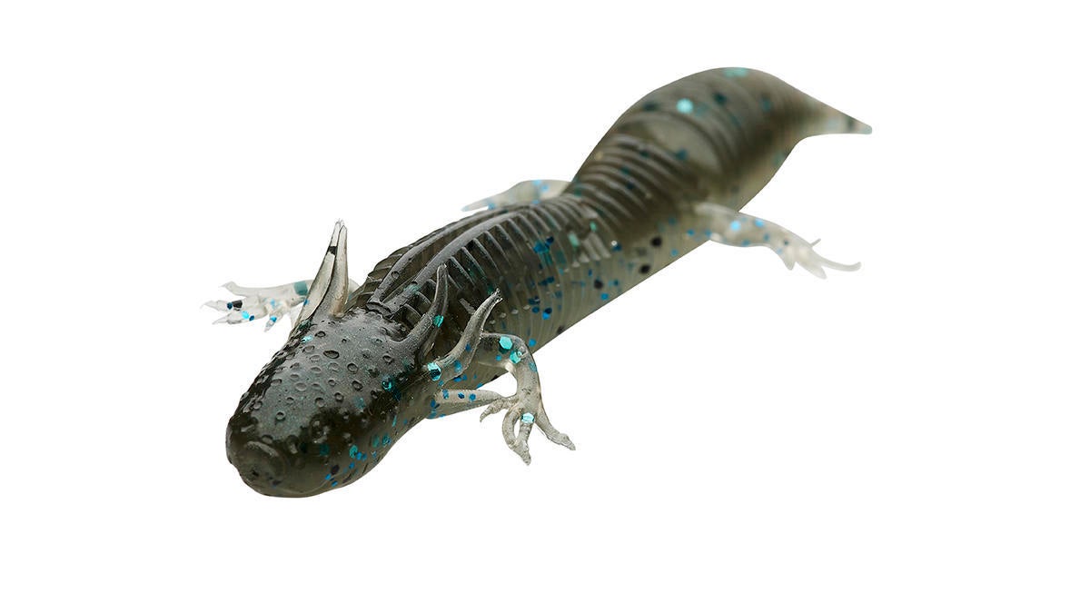 ned-salamander.jpg