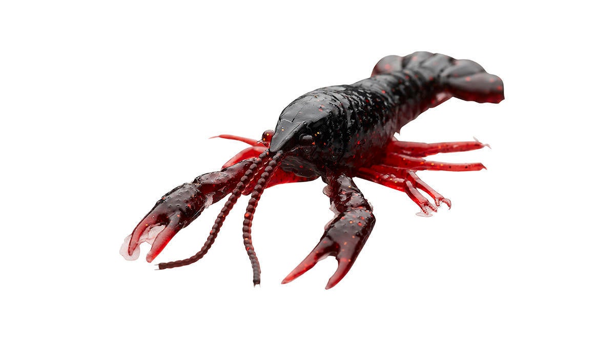 ned-craw.jpg