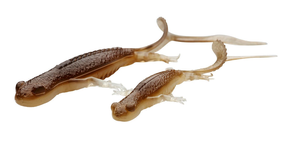3d-lizard.jpg