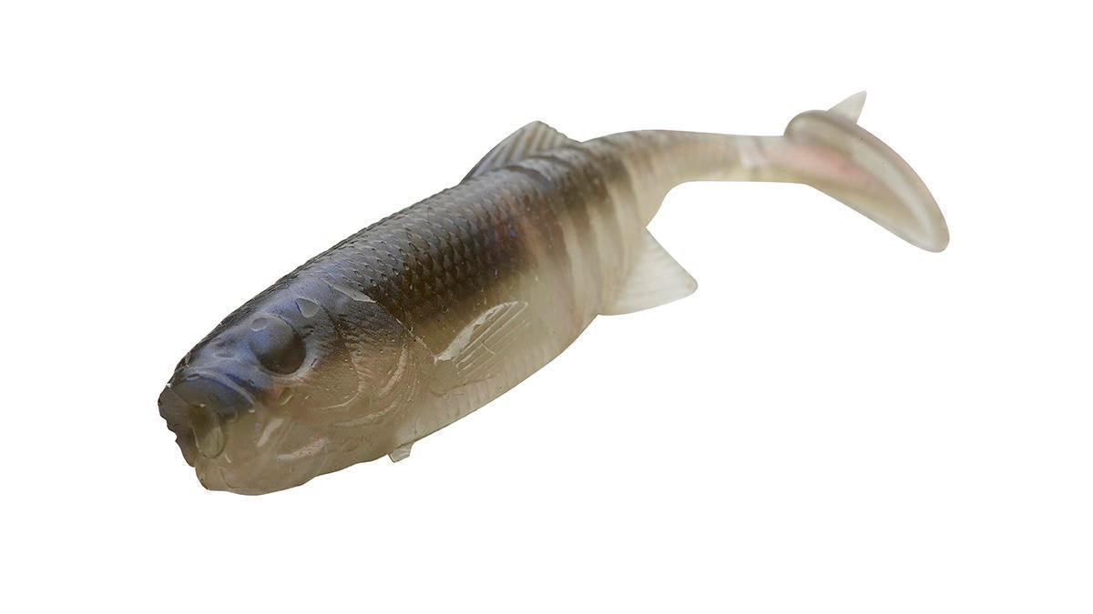 ned-minnow.jpg