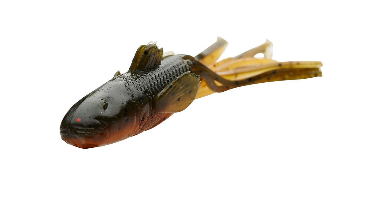 ned-goby.jpg