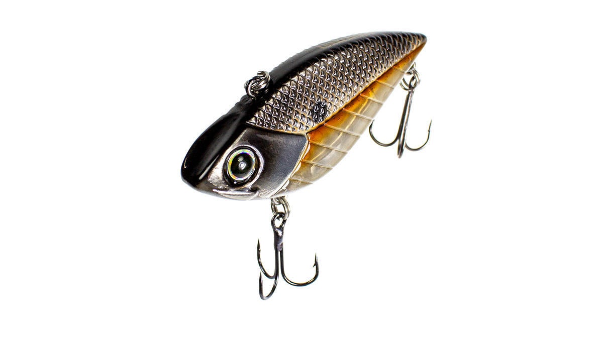lunkerhunt-9.jpg