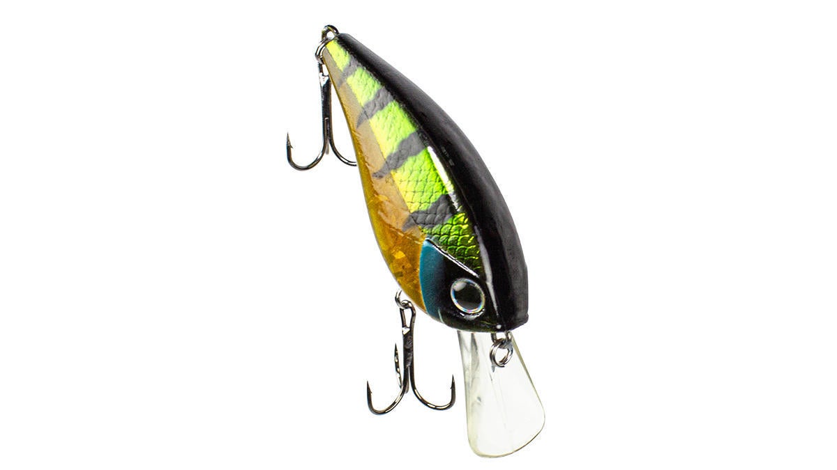 lunkerhunt-8.jpg