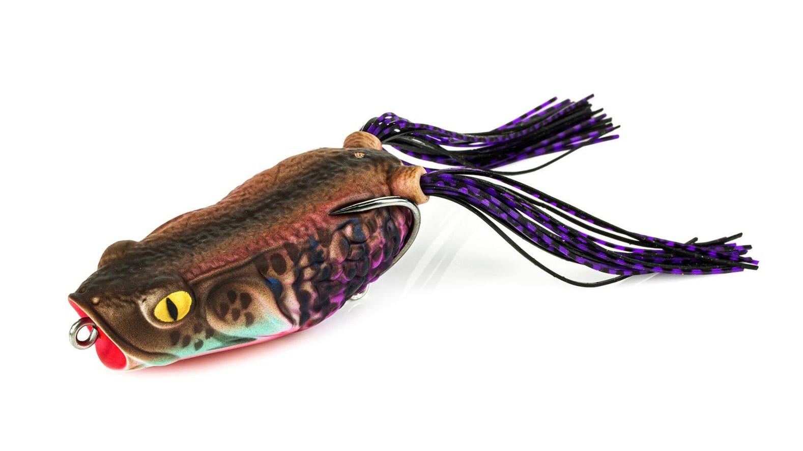 molix-pop-frog.jpg