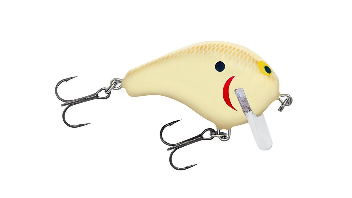 bagley-balsa-wake-1-bwte.jpg