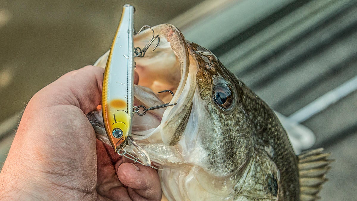 low-water-bass-fishing-1.jpg