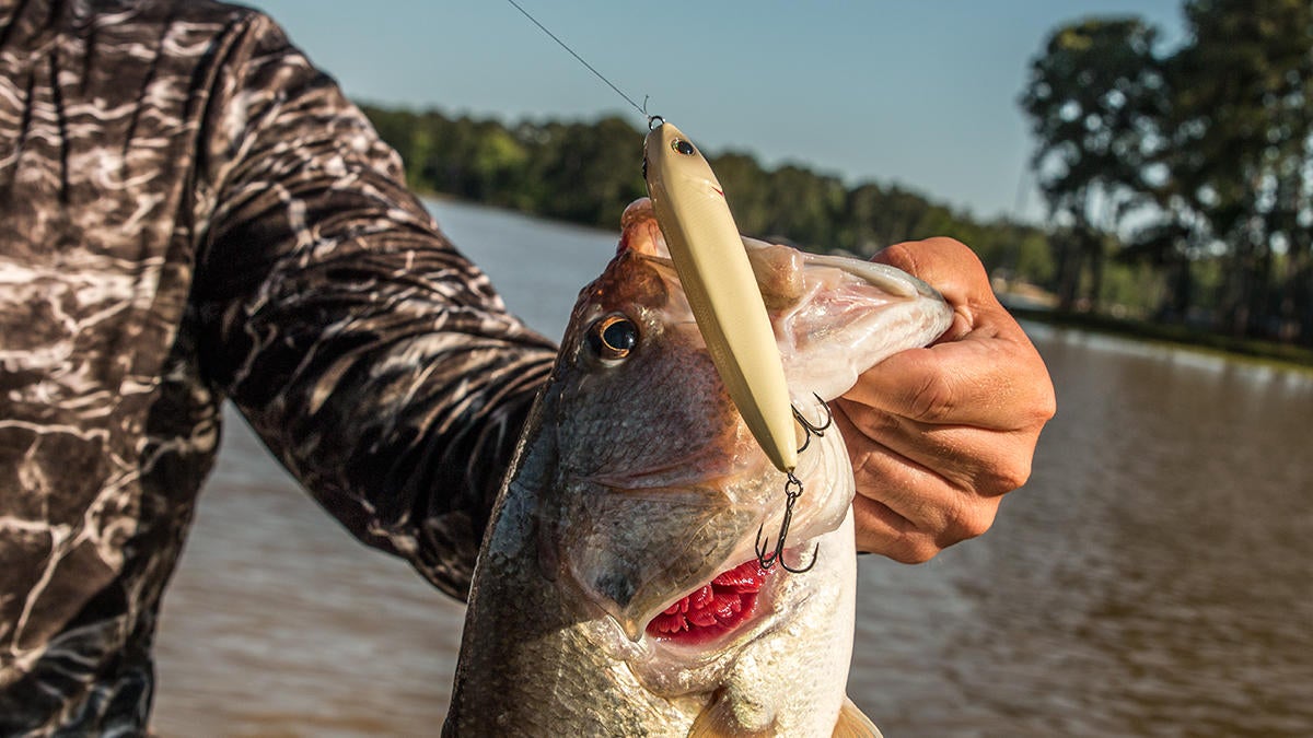 low-water-bass-fishing-4.jpg