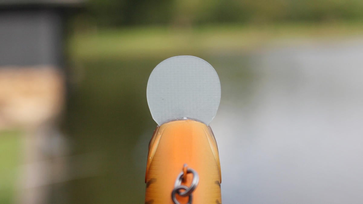 nishine-chippawa-rb-slow-float-crankbait-review-6.jpg