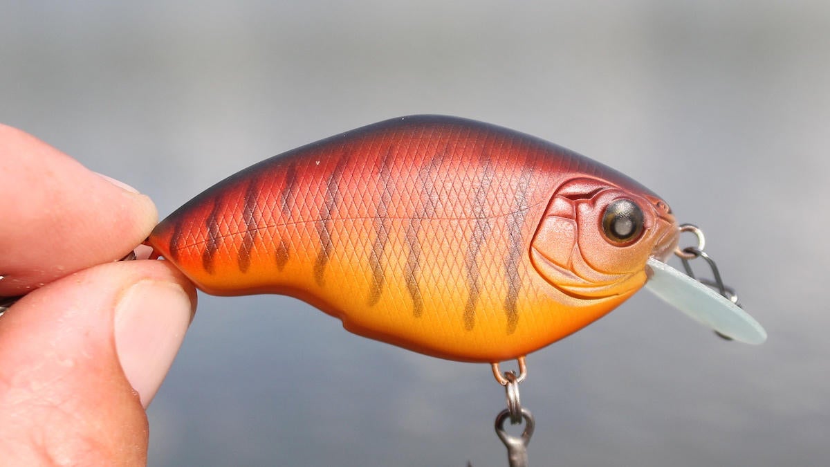 nishine-chippawa-rb-slow-float-crankbait-review-1.jpg