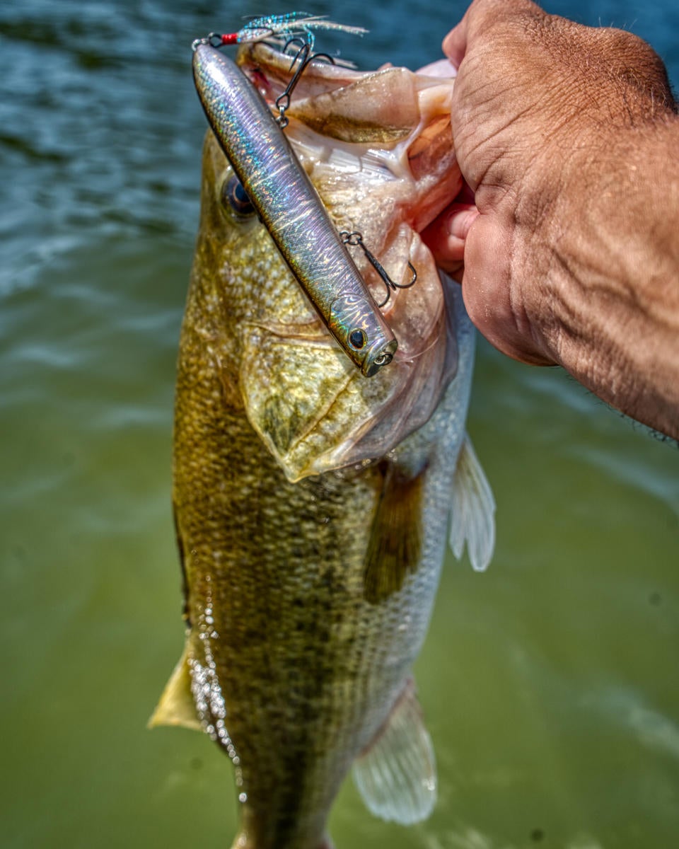 berkley-cane-walker-big-bass.jpg