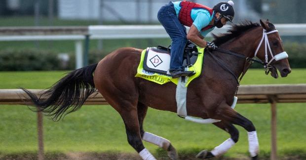 SportsLine Analyst Jody Demling on which horse has the best chance to win  the Kentucky Derby 