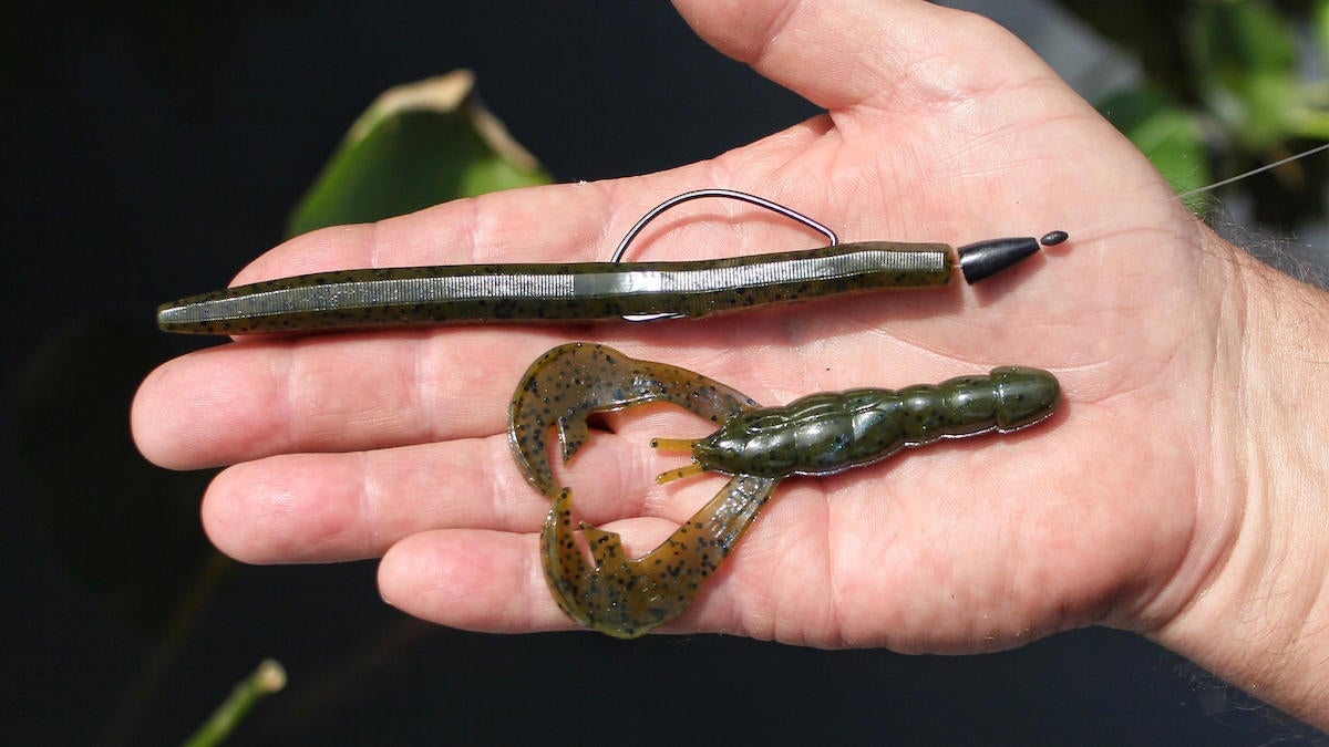 best-baits-for-bass-fishing-in-lily-pads-5.jpg