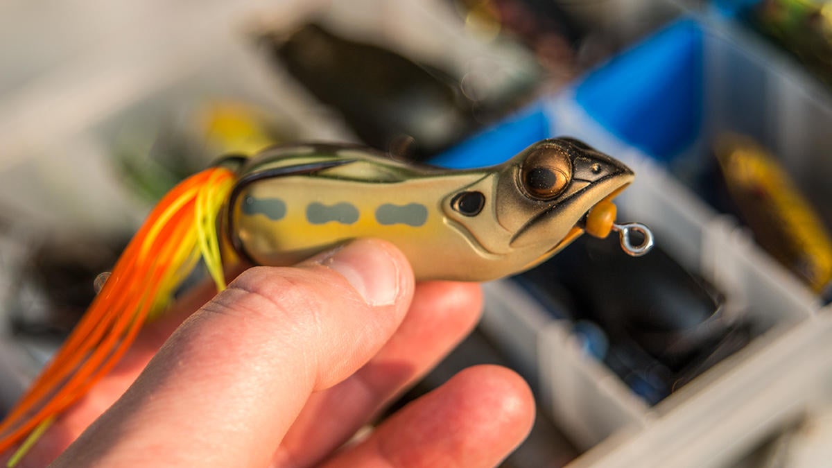 5 Bass Fishing Frogs I m Excited to Try This Fall - Wired2Fish.com