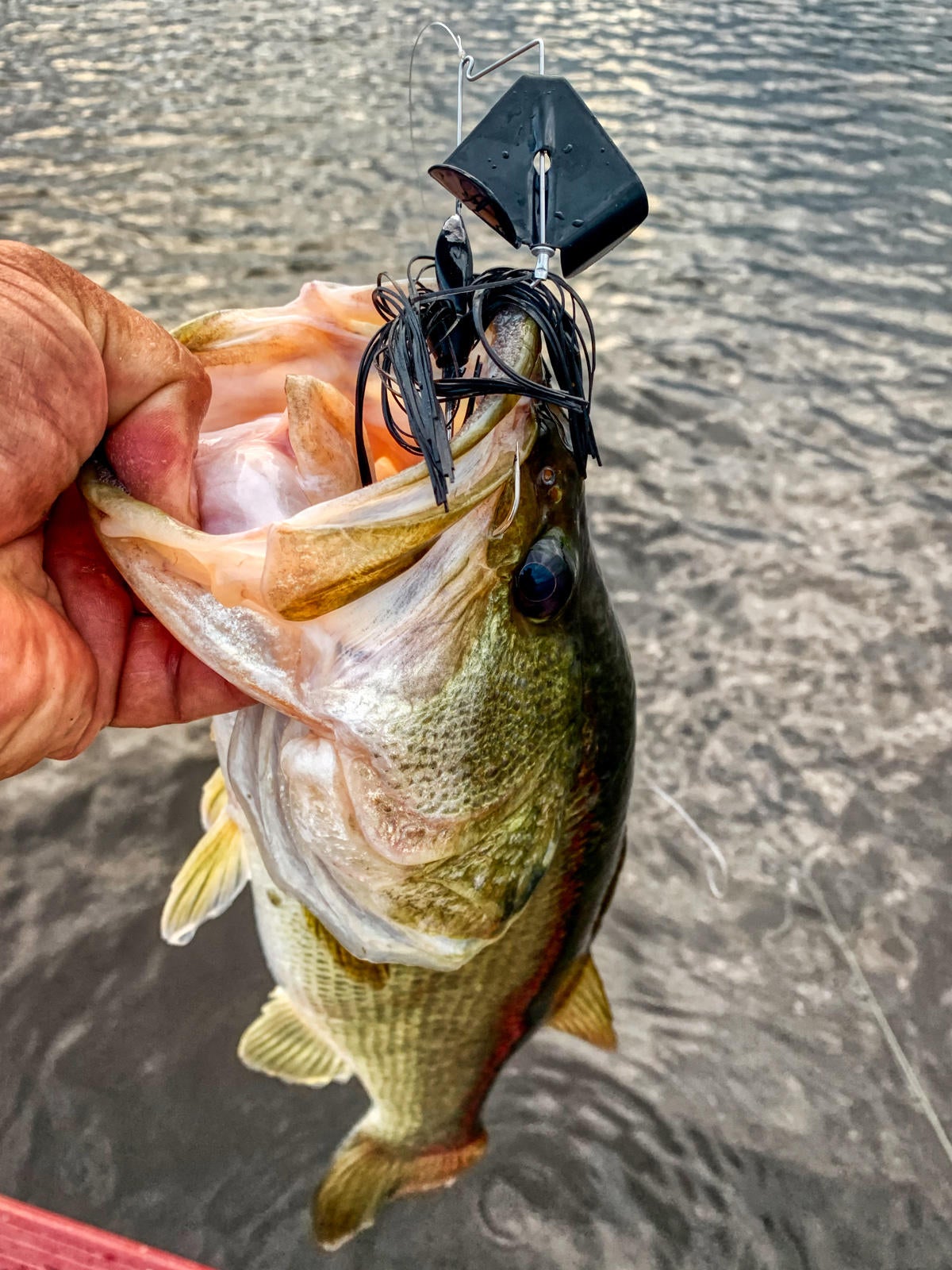 tackle-hd-buzzer-good-bass.jpg