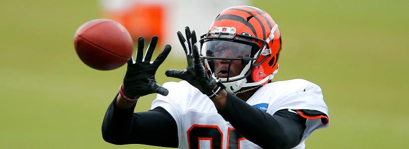 Tee Higgins Cincinnati Bengals
