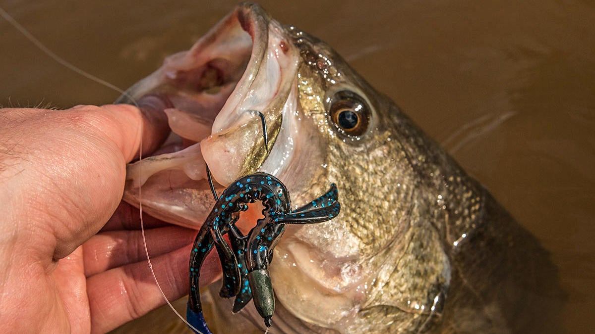 fall-bass-fishing-misconceptions-2.jpg
