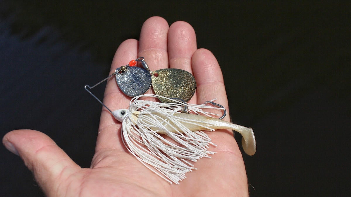 fall-spinnerbait-fishing-selection-3.jpg