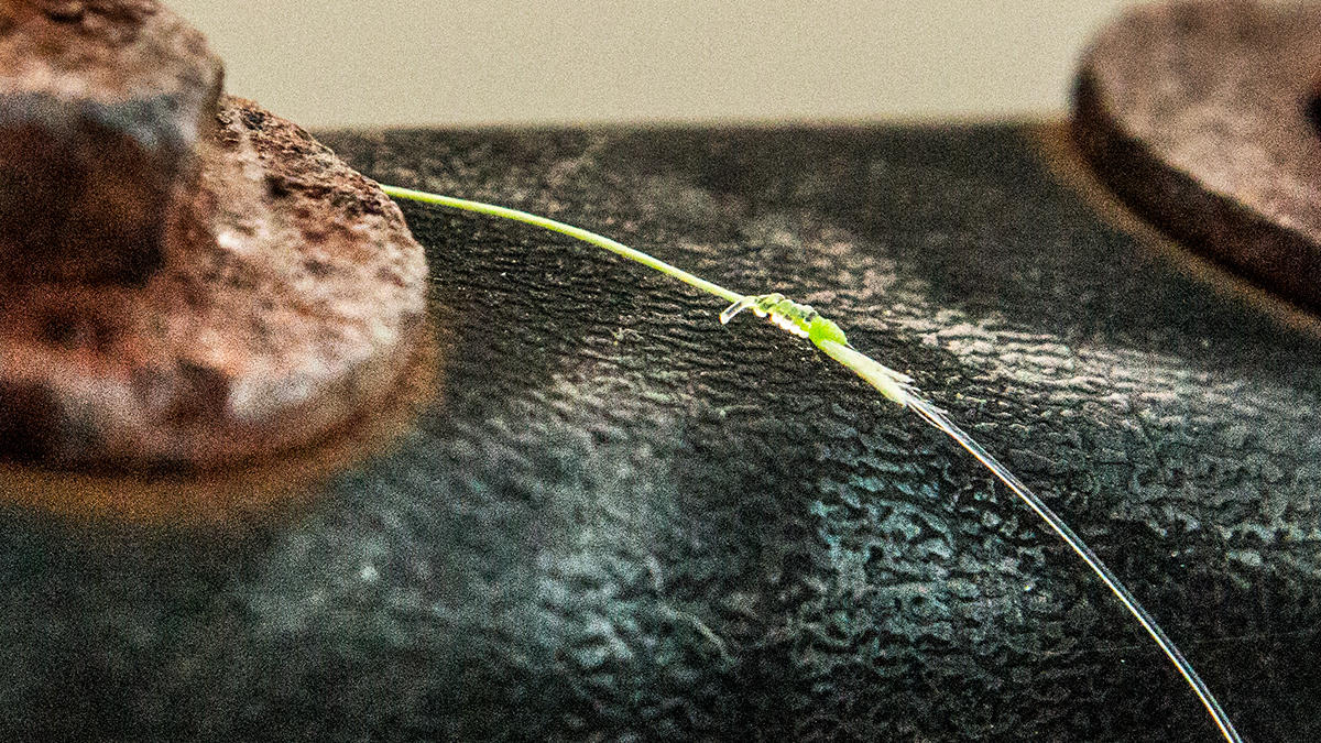 Seaguar Gold Label Fluorocarbon Leader Line Review