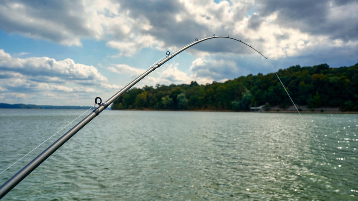  Ark Genesis Series 2-Piece Travel Rod Review - Wired2Fish.com