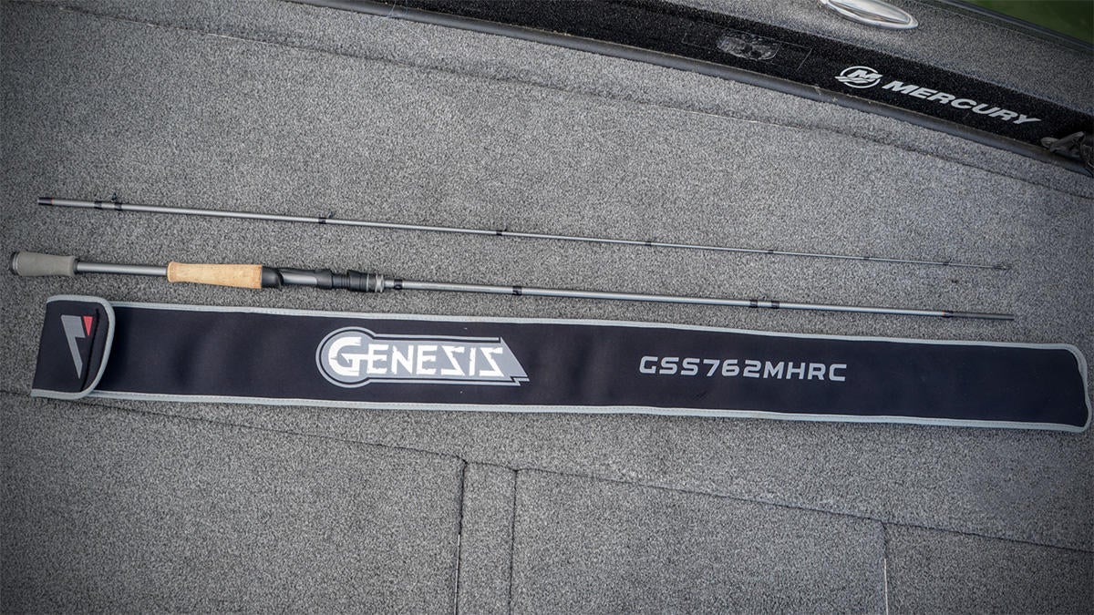 ark-rods-genesis-9.jpg