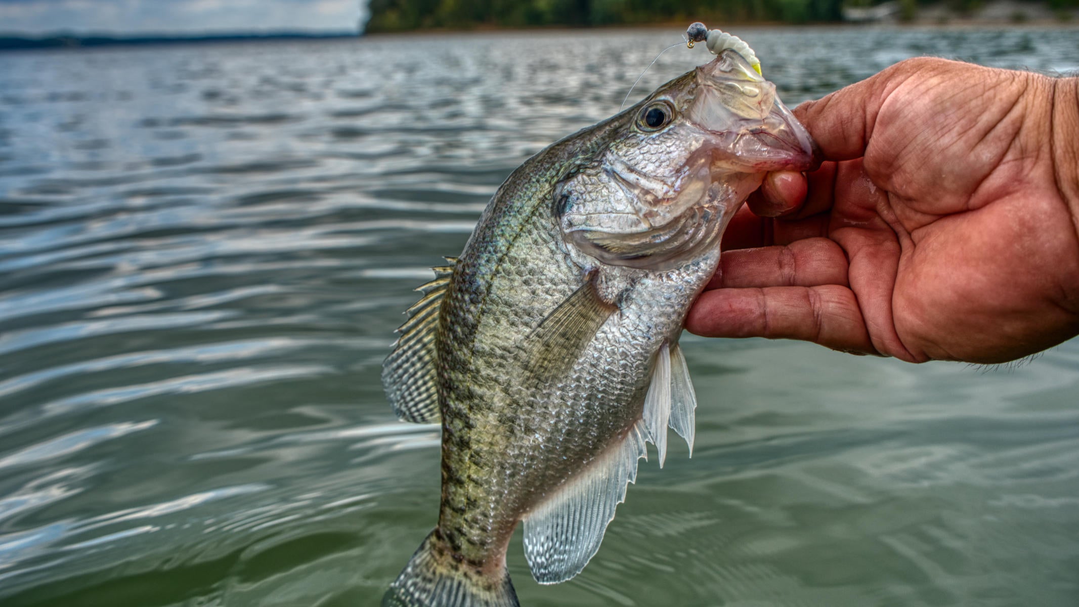 crappie fishing jerseys
