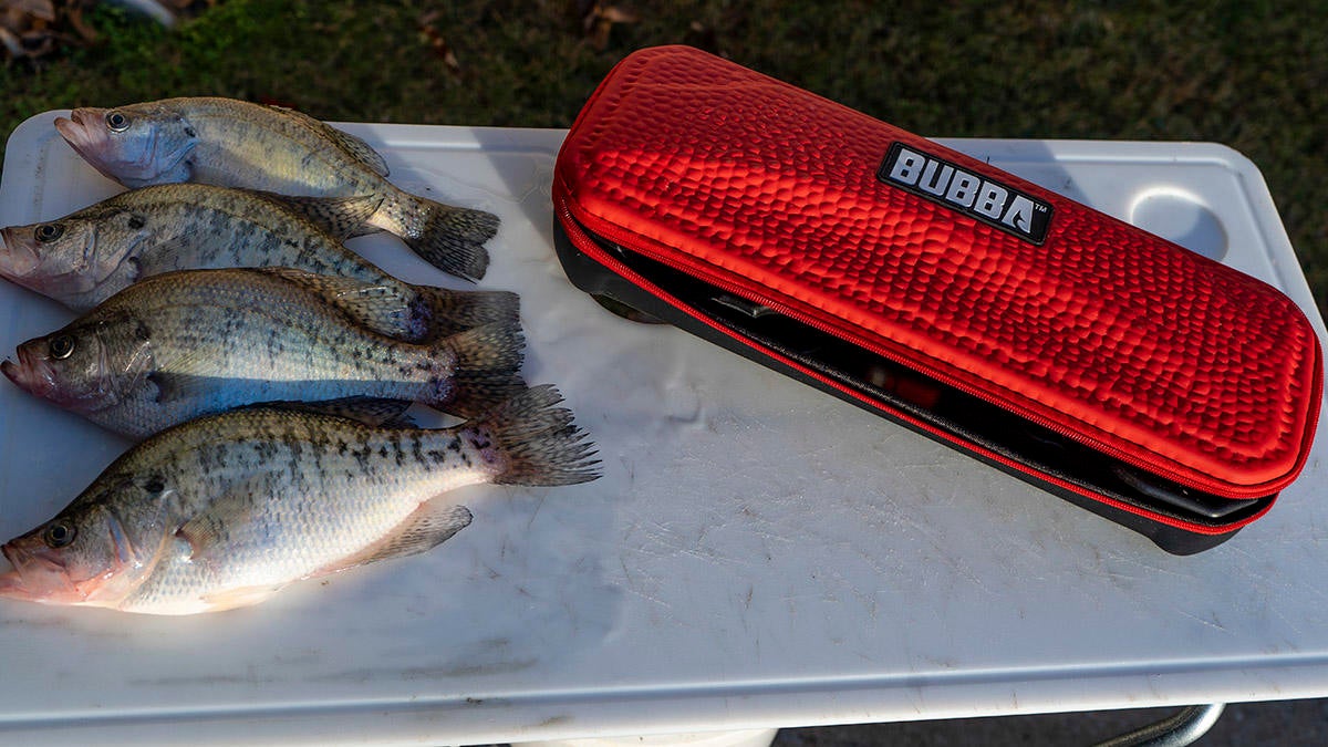 bubba battery powered fillet knife