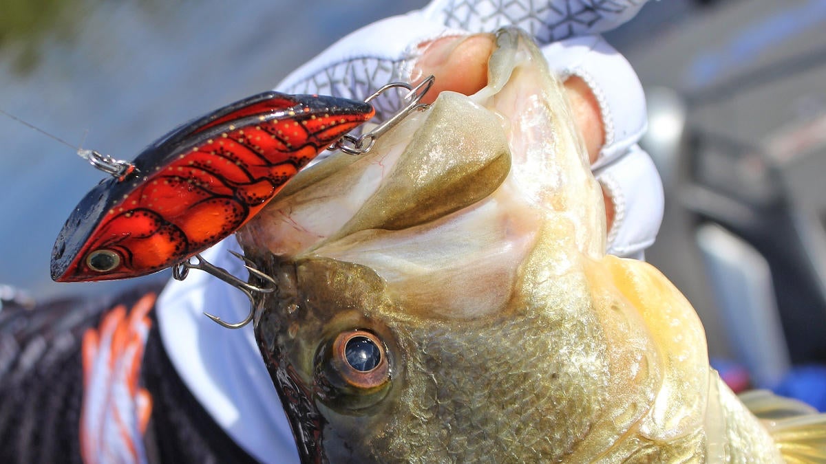 bagley-rattlin-b-minus-lipless-crankbait-review.jpg