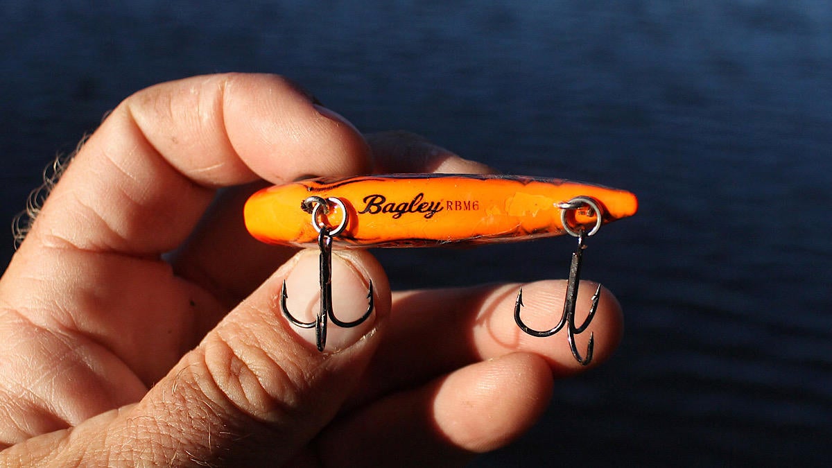 bagley-rattlin-b-minus-lipless-crankbait-review-4.jpg