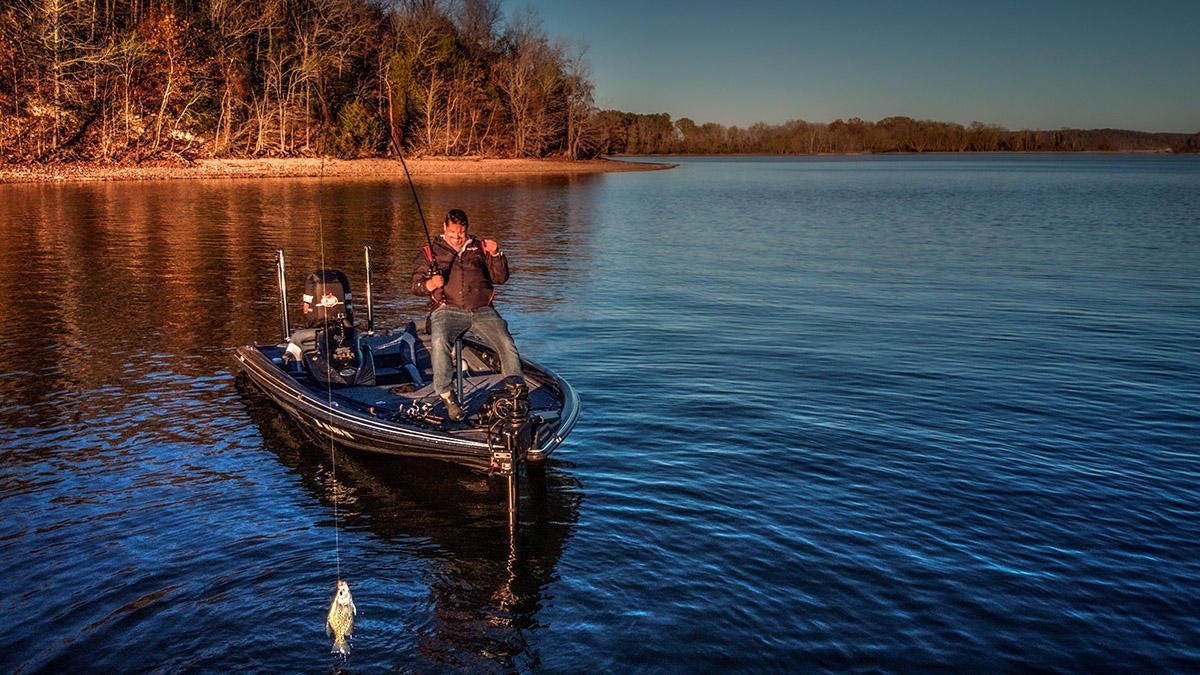 crappie-swinging3-2.jpg