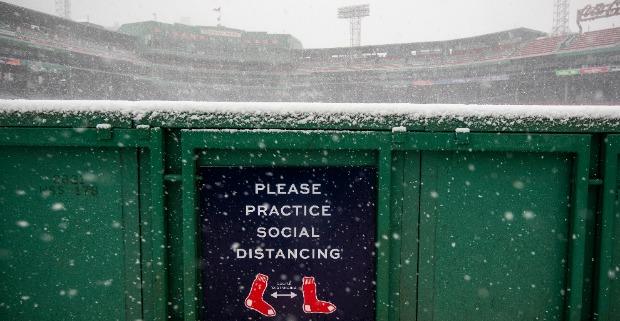 <p>red sox</p>
